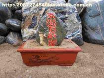 【泰山石敢当】盆装,价格,厂家,图片,供应商,其他石材石料,泰安市泰山区五尊石材销售中心 - 产品库 - 阿土伯交易网